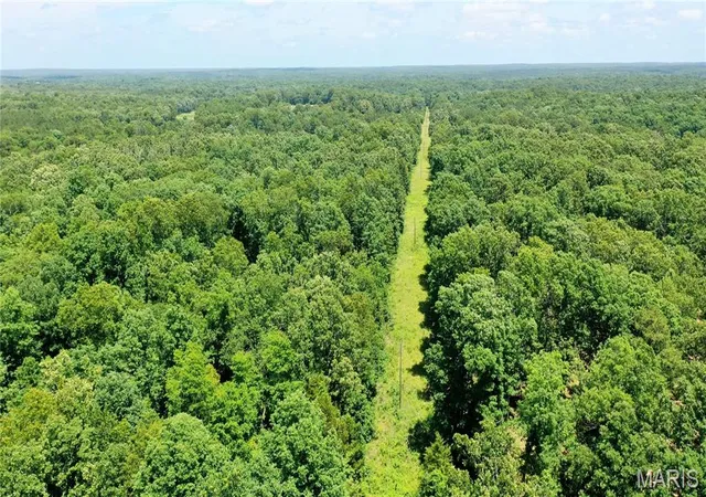 3rd image of 0 Cr 5400, Salem, MO 65560 | MLS# MIS26034580