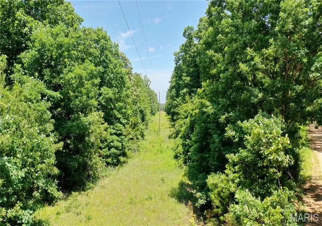 33rd image of 0 Cr 5400, Salem, MO 65560 | MLS# MIS26034580