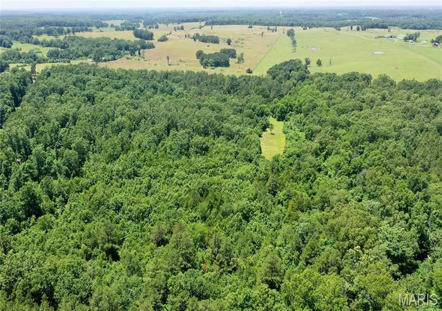 5th image of 0 Cr 5400, Salem, MO 65560 | MLS# MIS26034580