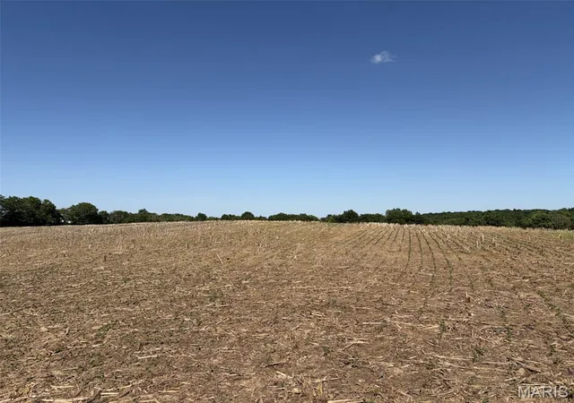 Homes for sale in Elsberry, MO | 1308 Acres Walnut Hill Ln, Elsberry, MO 63343 | MLS# MIS26034612