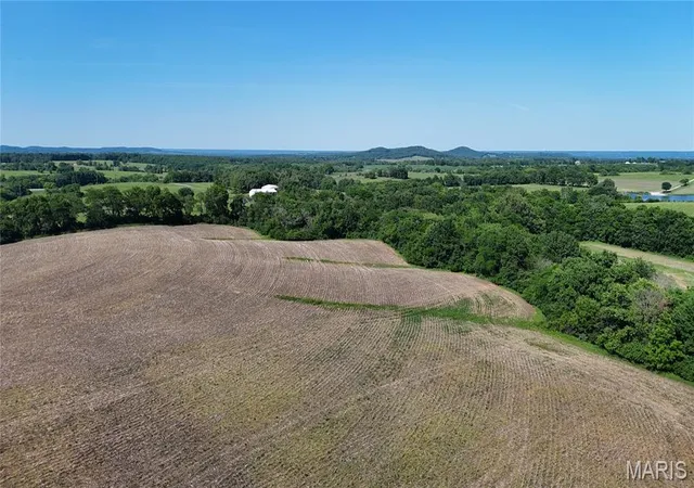 Homes for sale in Elsberry, MO | 1308 Acres Walnut Hill Ln, Elsberry, MO 63343 | MLS# MIS26034612