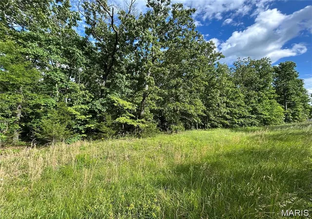Homes for sale in Steelville, MO | Lot 14 Hickory Ridge, Steelville, MO 65565 | MLS# MIS26034698