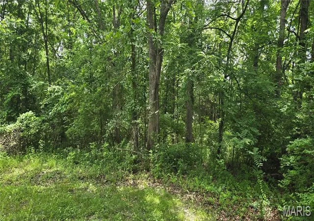 Homes for sale in St James, MO | 217 Anna St, St James, MO 65559 | MLS# MIS26034804