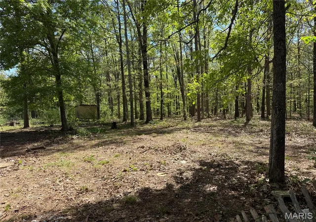 Homes for sale in Licking, MO | 16558 Hwy Bb, Licking, MO 65542 | MLS# MIS26034918