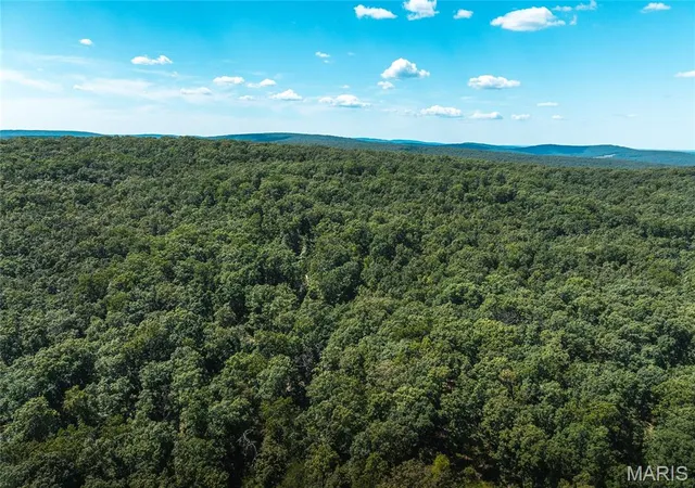 1st image of 1 Buck Mountain Road, Doe Run, MO 63637 | MLS# MIS26035004