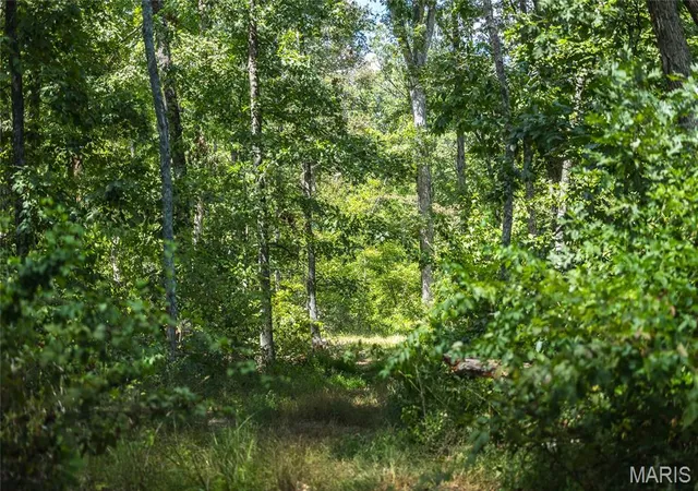 2nd image of 1 Buck Mountain Road, Doe Run, MO 63637 | MLS# MIS26035004