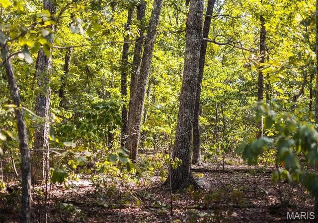12th image of 2 Buck Mountain Rd, Unincorporated, MO 63667 | MLS# MIS26035009