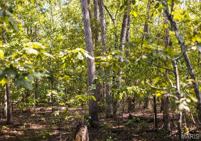 Photo 3 of Land for sale at 2 Buck Mountain Rd, Unincorporated, MO 63667 | MLS# MIS26035009 | Listing updated on 2026-07-28