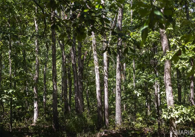 2nd image of 3 Buck Mountain Road, Doe Run, MO 63637 | MLS# MIS26035016