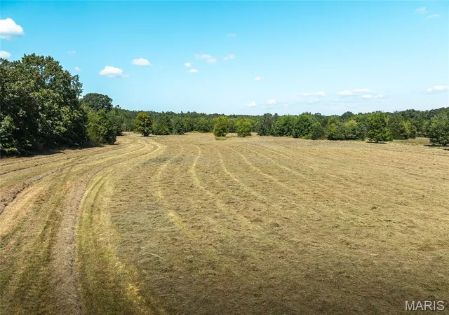 2nd image of 4 Buck Mountain Road, Doe Run, MO 63637 | MLS# MIS26035018