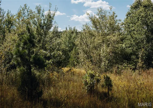 27th image of 4 Buck Mountain Road, Doe Run, MO 63637 | MLS# MIS26035018
