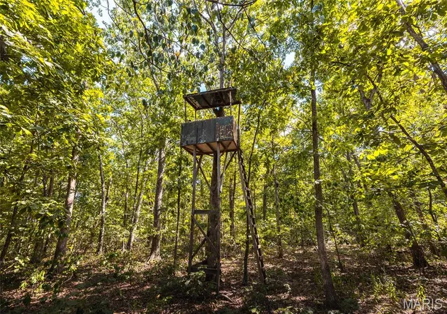 14th image of 5 Buck Mountain Road, Doe Run, MO 63637 | MLS# MIS26035019