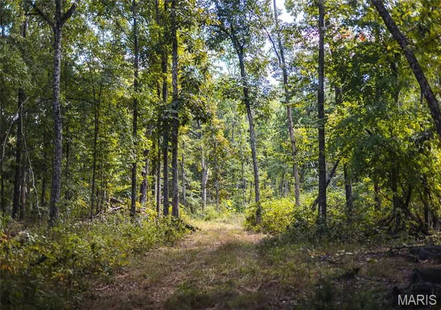 4th image of 5 Buck Mountain Road, Doe Run, MO 63637 | MLS# MIS26035019