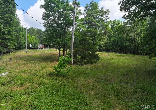 Photo 3 of Single family home for sale at 96 Ac +/- W Off Hwy Tt, Poplar Bluff, MO 63901 | MLS# MIS26035028 | Listing updated on 2026-06-12
