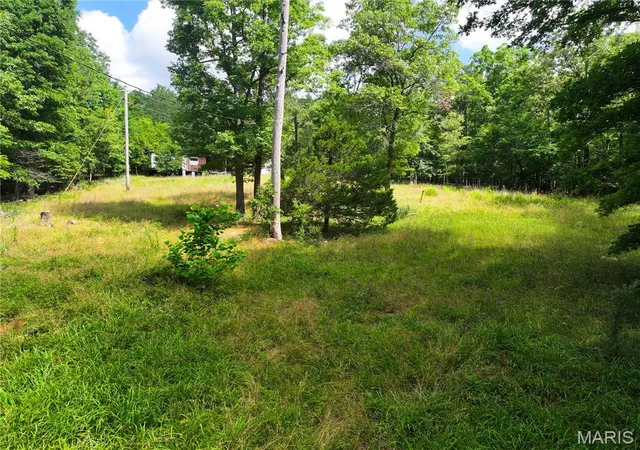 Photo 4 of Single family home for sale at 96 Ac +/- W Off Hwy Tt, Poplar Bluff, MO 63901 | MLS# MIS26035028 | Listing updated on 2026-06-12