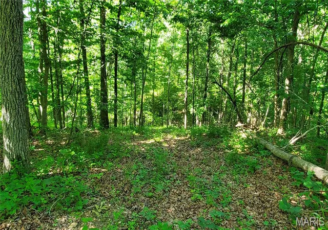 Homes for sale in Jadwin, MO | 11721 Hwy K, Jadwin, MO 65501 | MLS# MIS26035104