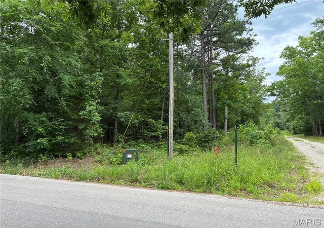 3rd image of 0 Bruce, Poplar Bluff, MO 63901 | MLS# MIS26035239