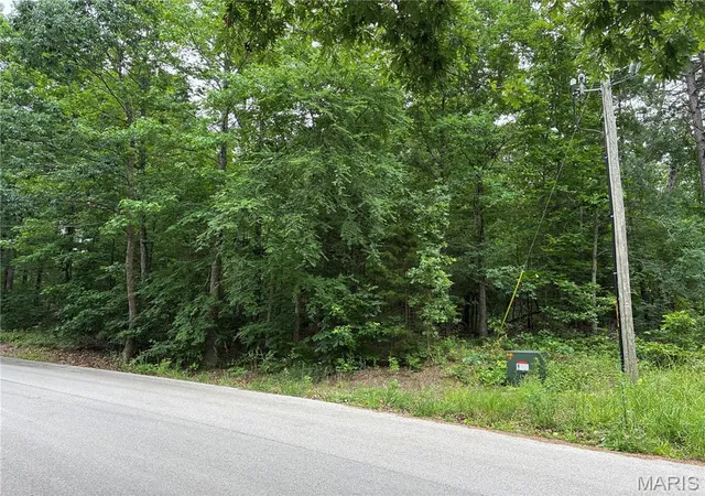 4th image of 0 Bruce, Poplar Bluff, MO 63901 | MLS# MIS26035239
