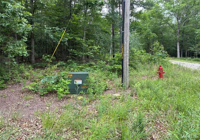 5th image of 0 Bruce, Poplar Bluff, MO 63901 | MLS# MIS26035239