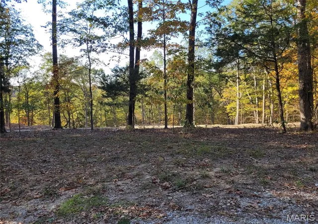 3rd image of 161 Steeple Point Dr, Defiance, MO 63341 | MLS# MIS26035304