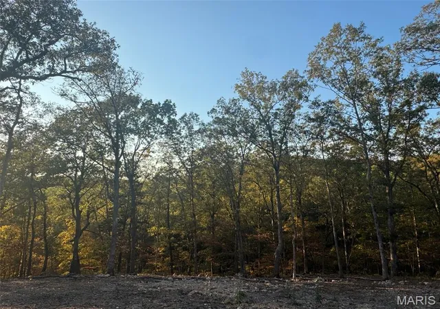 31st image of 161 Steeple Point Dr, Defiance, MO 63341 | MLS# MIS26035304