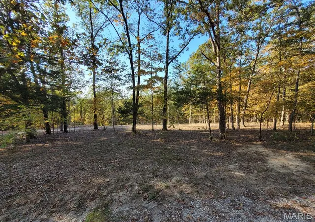 4th image of 161 Steeple Point Dr, Defiance, MO 63341 | MLS# MIS26035304
