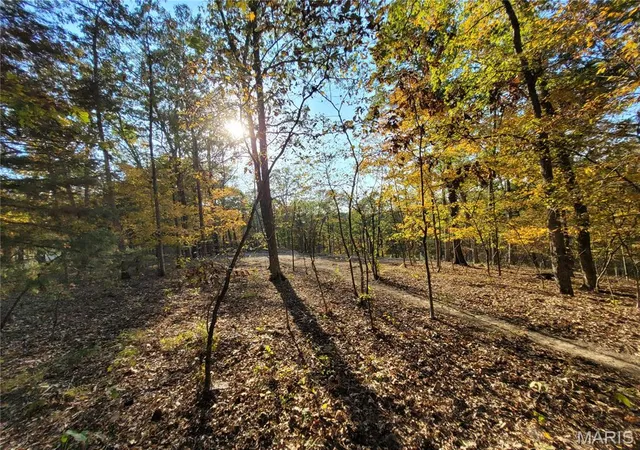 5th image of 161 Steeple Point Dr, Defiance, MO 63341 | MLS# MIS26035304