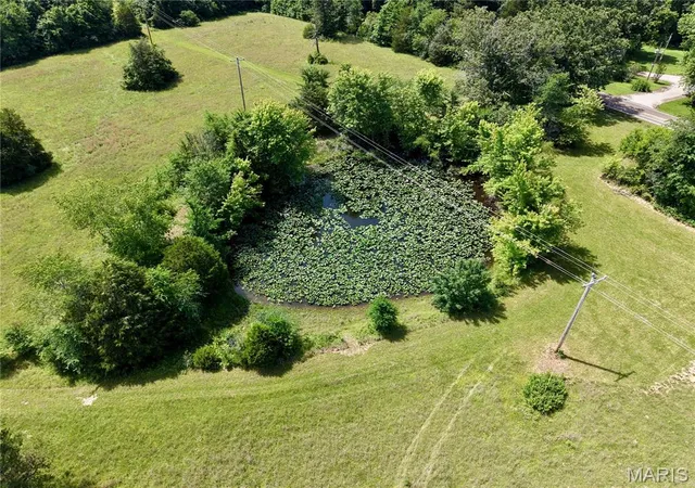 Photo 3 of Land for sale at 6483 Wayne Route P, Lowndes, MO 63951 | MLS# MIS26035307 | Listing updated on 2026-06-30