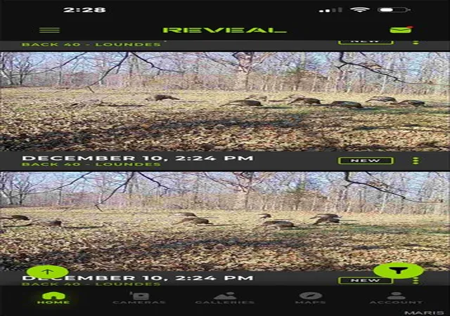 45th image of 6483 Wayne Route P, Lowndes, MO 63951 | MLS# MIS26035307