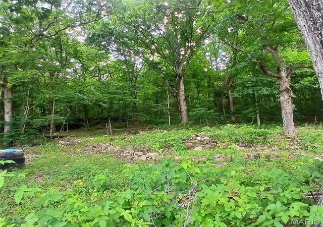 2nd image of 14773 Hwy E, Arcadia, MO 63621 | MLS# MIS26035523