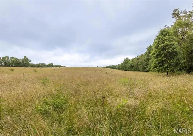 Homes for sale in Kirksville, MO | 00 Sand Creek Bottom Rd, Kirksville, MO 63546 | MLS# MIS26035543