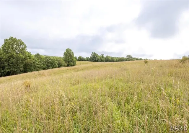 Homes for sale in Kirksville, MO | 00 Sand Creek Bottom Rd, Kirksville, MO 63546 | MLS# MIS26035543