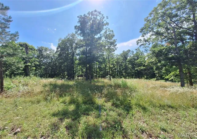 Homes for sale in Laquey, MO | 25725 Starlite Dr, Laquey, MO 65534 | MLS# MIS26035832