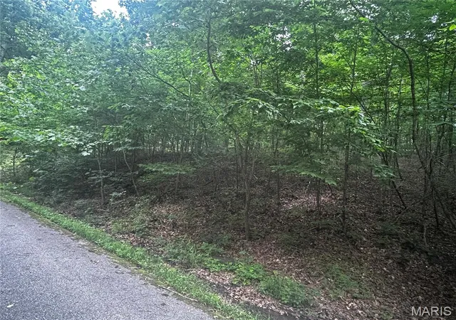 13th image of 620 Crooked Creek Ln, Eureka, MO 63025 | MLS# MIS26035892