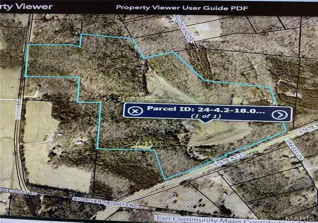 2nd image of 0 State Route 21, De Soto, MO 63020 | MLS# MIS26035947
