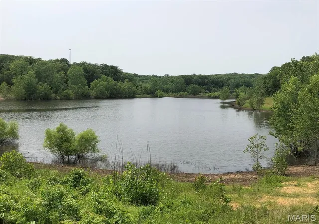 3rd image of 0 State Route 21, De Soto, MO 63020 | MLS# MIS26035947