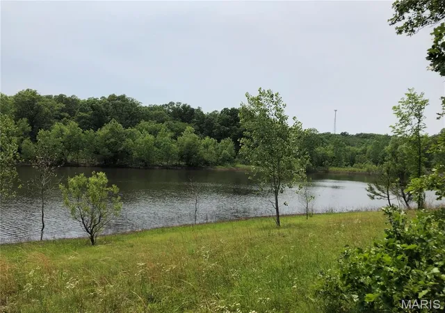 4th image of 0 State Route 21, De Soto, MO 63020 | MLS# MIS26035947