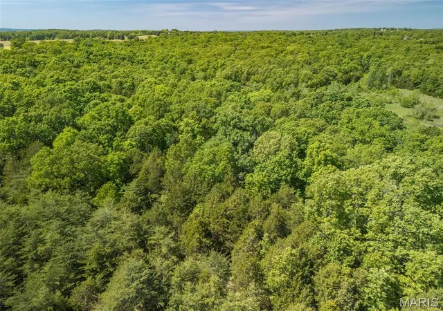 42nd image of 0 State Route 21, De Soto, MO 63020 | MLS# MIS26035947