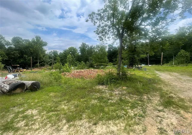 3rd image of 2318 N Main St, Poplar Bluff, MO 63901 | MLS# MIS26036014