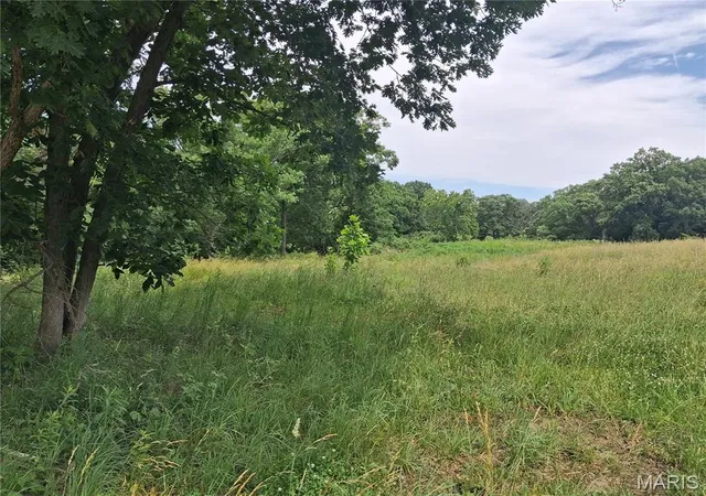 Homes for sale in Madison, MO | 5 Hwy 24, Madison, MO 65263 | MLS# MIS26036037