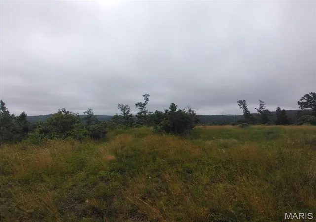 Homes for sale in Belleview, MO | 10 Tract 10 Off Hwy O, Belleview, MO 63623 | MLS# MIS26036041
