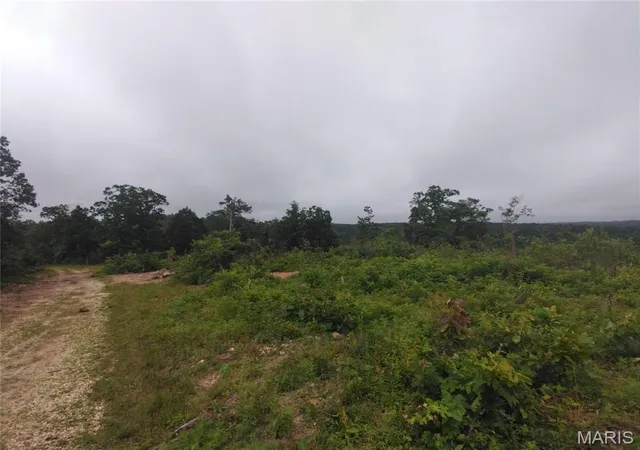 Homes for sale in Belleview, MO | 10 Tract 10 Off Hwy O, Belleview, MO 63623 | MLS# MIS26036041