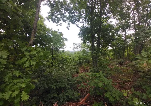 Homes for sale in Belleview, MO | 10 Tract 10 Off Hwy O, Belleview, MO 63623 | MLS# MIS26036041
