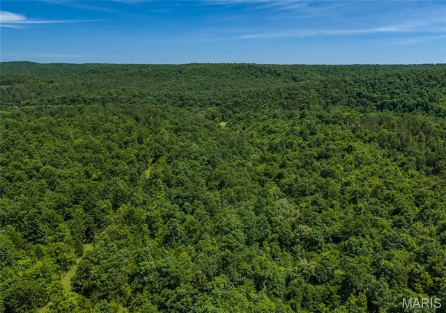 Homes for sale in Raymondville, MO | Tbd Timberhill Road-Tract 1, Raymondville, MO 65555 | MLS# MIS26036043