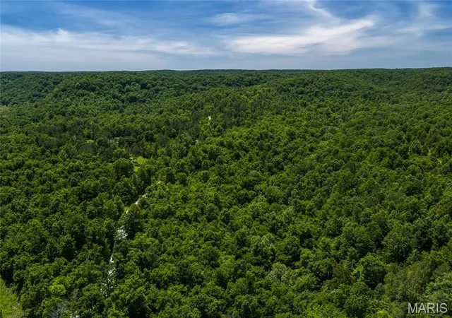 Homes for sale in Raymondville, MO | Tbd Timberhill Road Tract 2, Raymondville, MO 65555 | MLS# MIS26036050