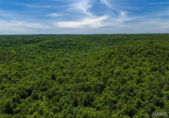 Homes for sale in Raymondville, MO | Tbd Timberhill Road Tract 2, Raymondville, MO 65555 | MLS# MIS26036050