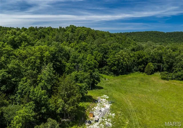 Homes for sale in Raymondville, MO | Tbd Timberhill Road-Tract 2, Raymondville, MO 65555 | MLS# MIS26036050
