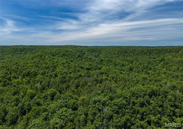 Homes for sale in Raymondville, MO | Tbd Timberhill Road-Tract 2, Raymondville, MO 65555 | MLS# MIS26036050