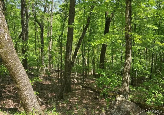 1st image of 1838 Prince John Ct, Marthasville, MO 63357 | MLS# MIS26036108
