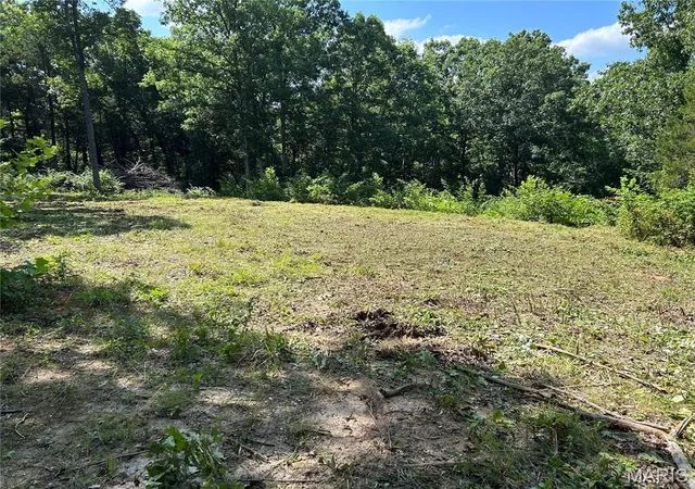 Homes for sale in Sullivan, MO | 58 Acres Dorwood Lane, Sullivan, MO 63080 | MLS# MIS26036121